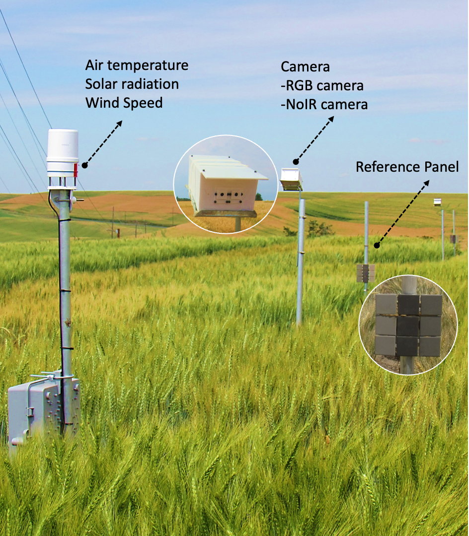AGIcam cameras, weather sensor, and reference panel installed in wheat trials