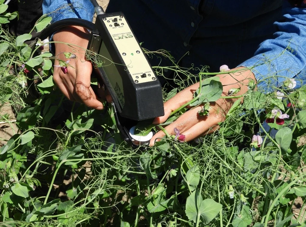 Close-range sensing of a plant leaf