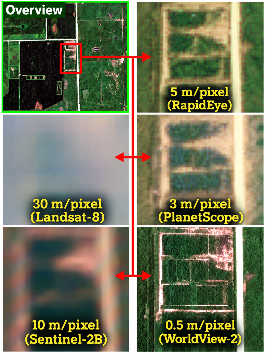 Satellite comparison with processed pixel sizes: Landsat-8 30 m, Sentinel-2B 10 m, WorldView-2 0.5 m, RapidEye 5 m, and PlanetScope 3 m