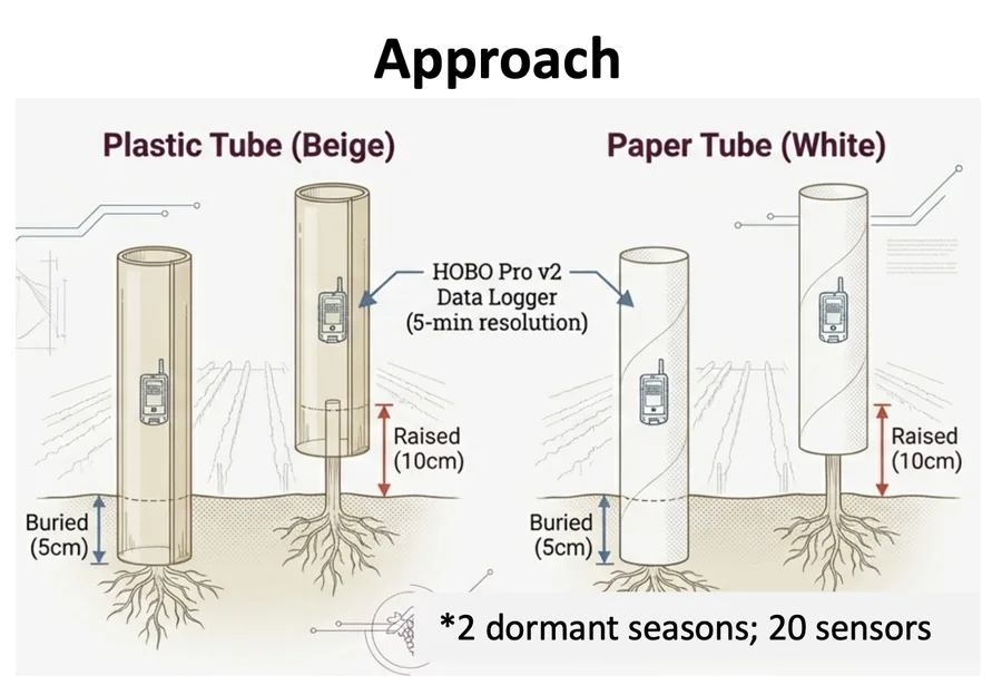 Grow tube study design: beige plastic and white paper tubes, each holding a data logger, buried 5 cm or raised 10 cm