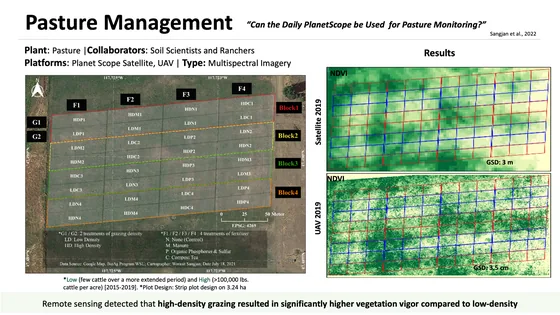 Research summary for Pasture productivity assessment under mob grazing and fertility management using satellite and UAS imagery