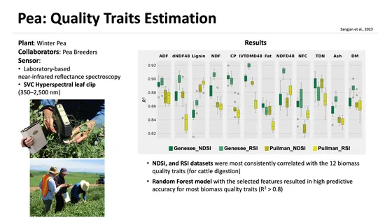 Research summary for pea forage quality