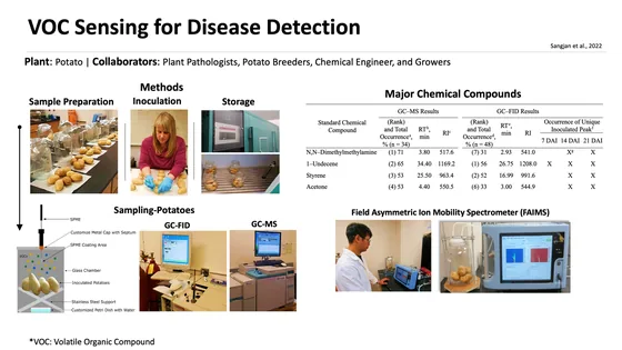 Research overview for potato VOC disease detection