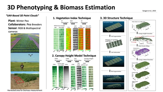 Research summary for Optimization of UAV-based imaging and image processing orthomosaic and point cloud approaches for estimating biomass in a forage crop