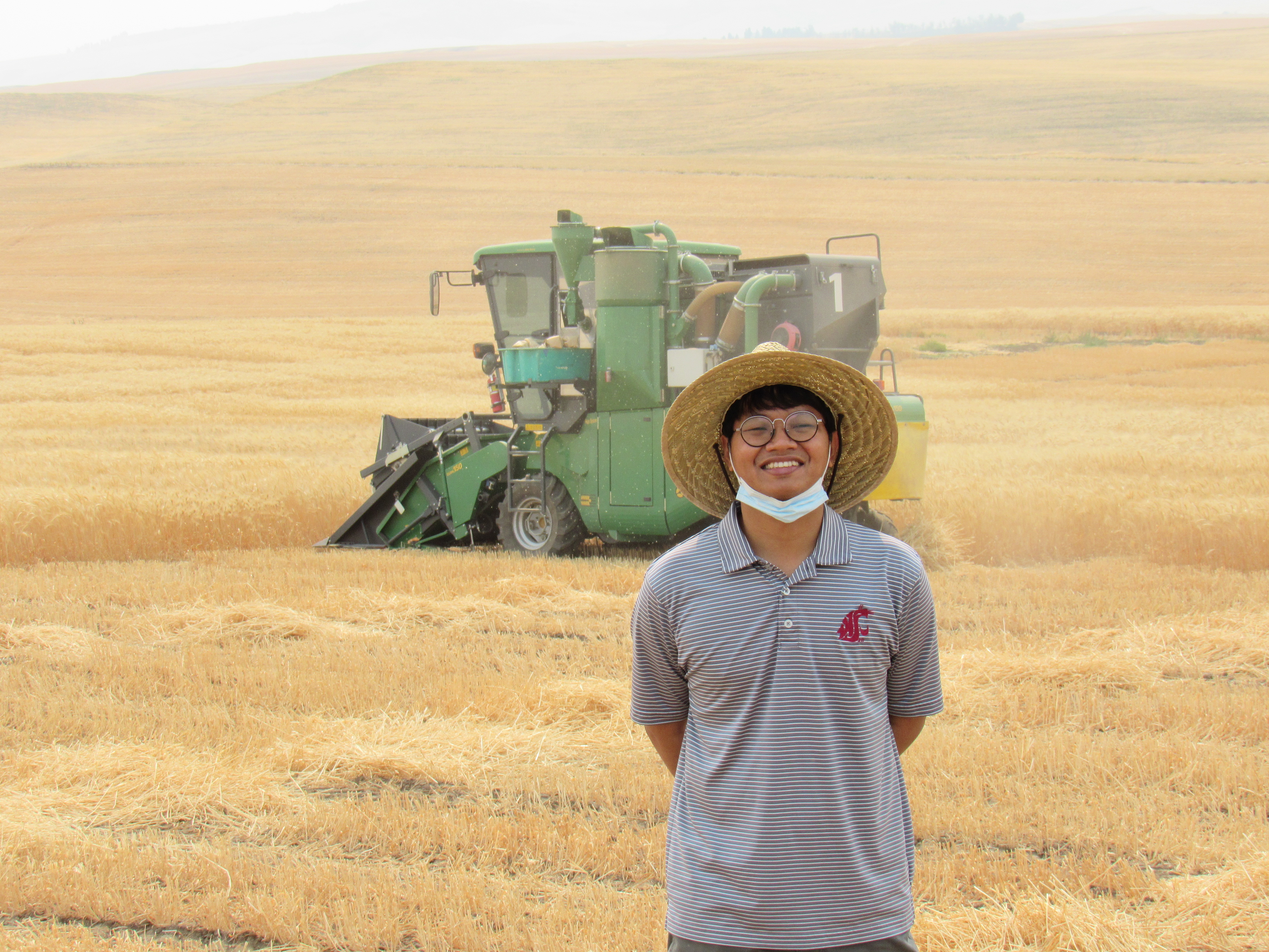 Worasit in a wheat field during harvest